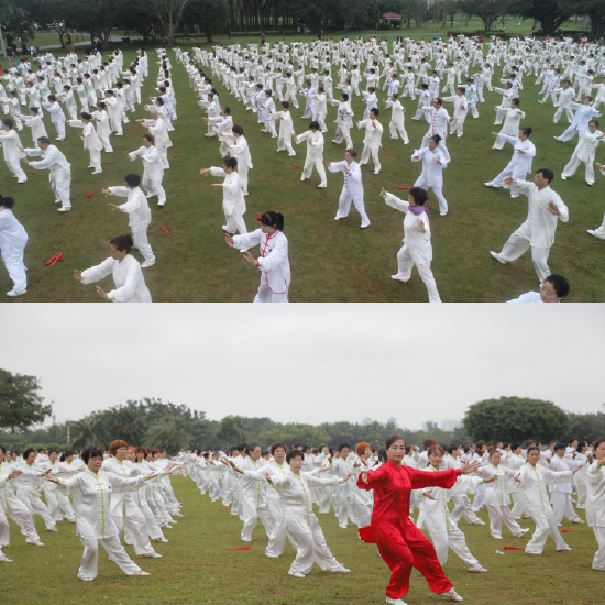 林号营在海口多次组织举办千人太极拳活动，致力于传播太极拳文化