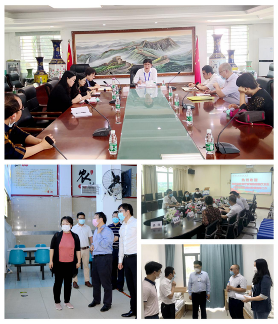 医学专家巡回指导团在各高校进行实地检查和指导