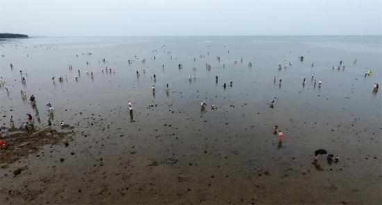 游客们在赶海寻宝。新华社记者 郭程 摄