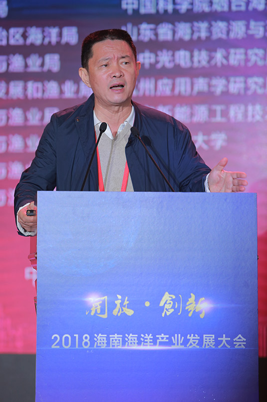 中国电子科技集团公司首席科学家王积鹏发表演讲。