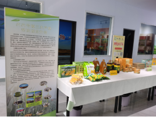  图：内蒙古察右后旗大六号镇产业帮扶开发系列特色农产品