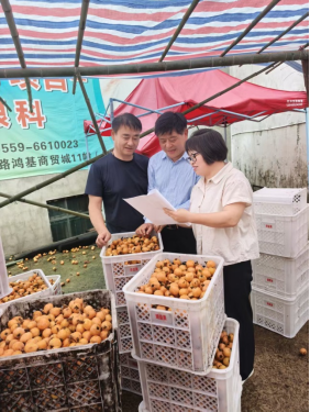  图：鲍君向客户讲解保险产品内容