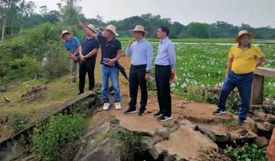 2024年4月，市有关领导和老干部代表等实地调研李坊水库，商量修缮方案。