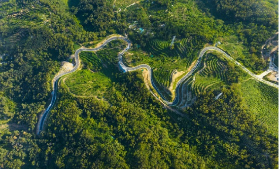 陵水热带林博园（大溪岭公园）