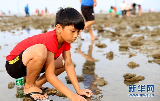 一个小男孩在仔细寻找水面下的鱼虾贝类。新华网 黎多江 摄