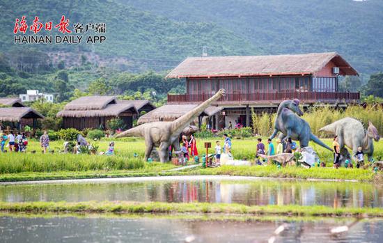 游客在三亚水稻国家公园游览。记者武威 摄