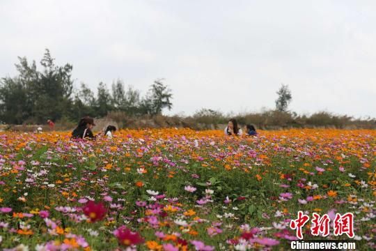 游客在文昌体验到草原风情。　张茜翼 摄