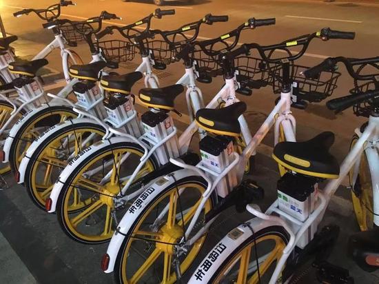 共享电单车来海口了!明年春节前投放1万辆左右