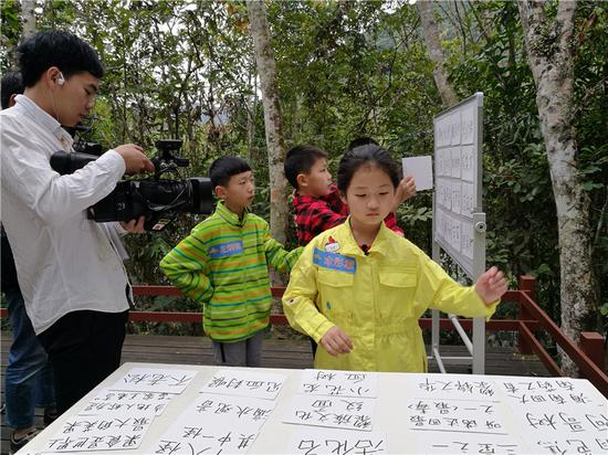 武汉教育电视台目组进驻呀诺达雨林取景拍摄