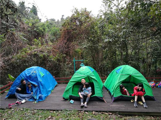 武汉教育电视台目组进驻呀诺达雨林取景拍摄