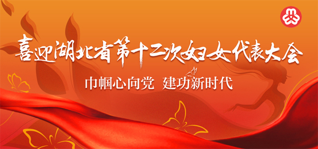 喜迎湖北妇女十二大 湖北妇女风采展示