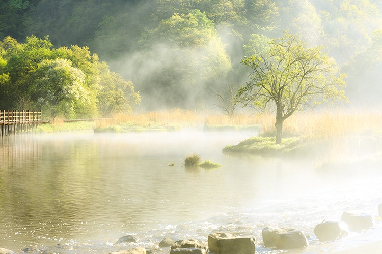 秘境仙蹤神農(nóng)架 夢(mèng)幻風(fēng)景美如畫