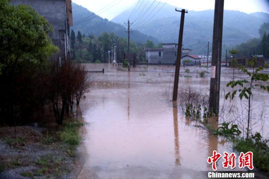 暴雨致湖北通山县三村庄遭洪水围困 朱涛 摄