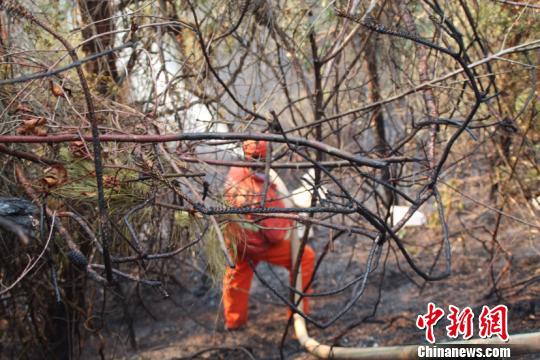 图为消防官兵正在扑救 王正民 摄