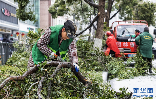 武汉园林人员清理道路折断的树枝。新华网发 胡冬冬摄