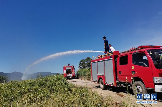 近日，受持续高温干旱影响，湖北黄石经济技术开发区·铁山区大王镇江垅村香椿产业园近200亩树苗奄奄一息。当地消防救援部门出动消防车数次往返崎岖山路，送水上山。新华网发