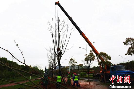 　图为，武汉加快推进造林绿化 赵旋 摄