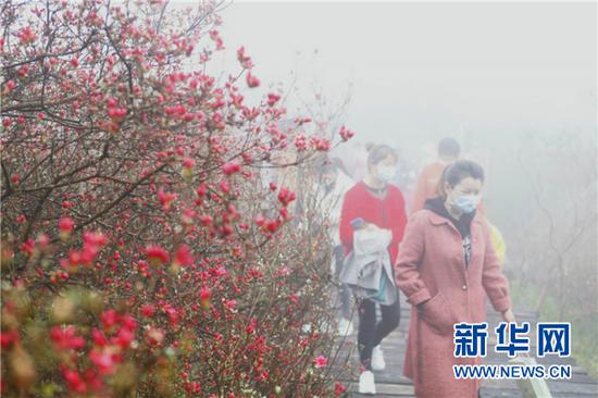 图为游客在龟峰山景区游览