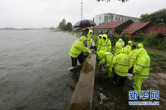 沙洋县公安民警紧急出动加固加高长湖岸堤。新华网发 赵平摄