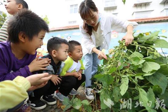 湖北|现实版开心农场！湖北竹山一幼儿园设开心农场十年
