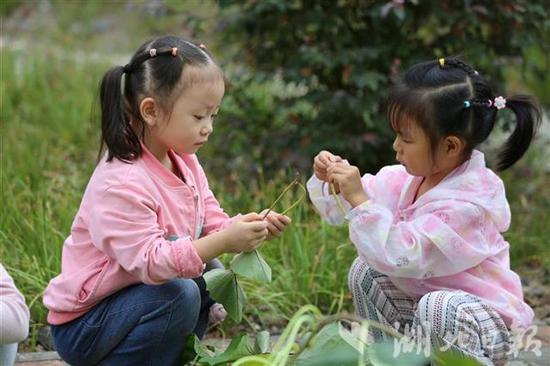湖北|现实版开心农场！湖北竹山一幼儿园设开心农场十年