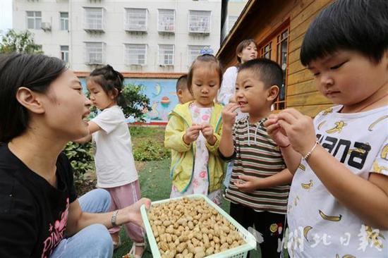 湖北|现实版开心农场！湖北竹山一幼儿园设开心农场十年