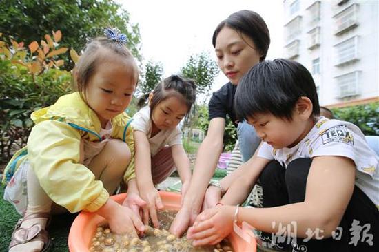 湖北|现实版开心农场！湖北竹山一幼儿园设开心农场十年