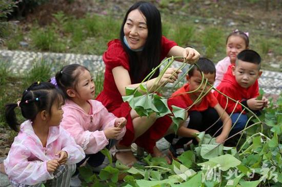 湖北|现实版开心农场！湖北竹山一幼儿园设开心农场十年