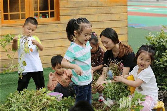 湖北|现实版开心农场！湖北竹山一幼儿园设开心农场十年