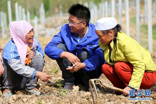 图为翁新强(中)给社员讲授五味子栽植和基地管护技巧(资料图)。新华网发