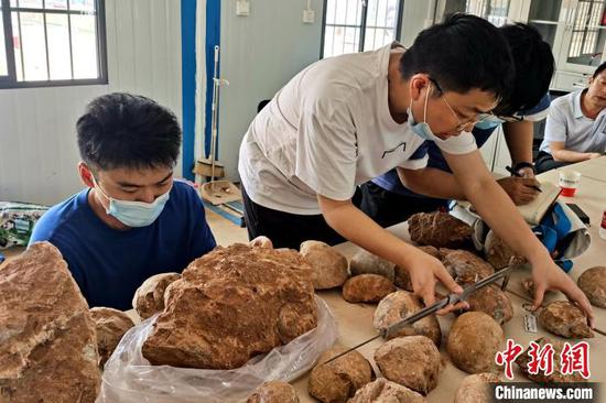 考古人员对发掘的恐龙蛋化石进行检测　郧阳区委宣传部供图