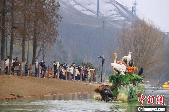 春节假期，市民在武汉野生动物王国游玩 武汉市文化和旅游局供图