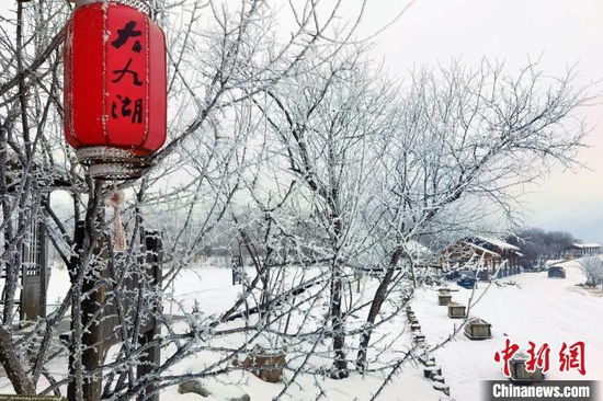  神农架大九湖国家湿地公园白雪皑皑。　王力 摄