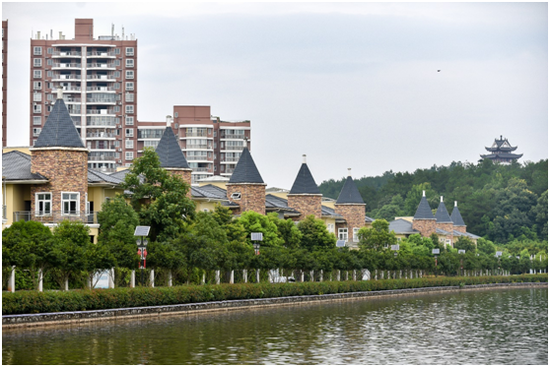 村企共建，帮带周边建设生态美丽家园