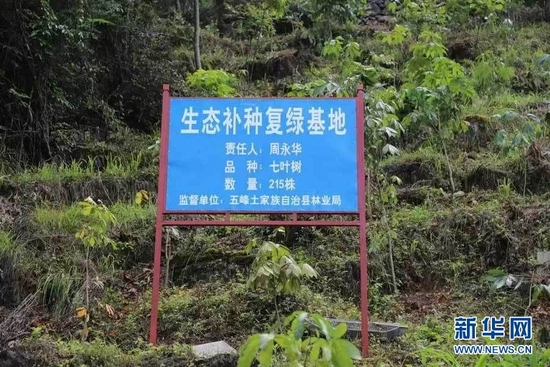 圖為路邊豎立的“生態(tài)補種復(fù)綠基地”牌。新華網(wǎng)發(fā) 閆京東 攝