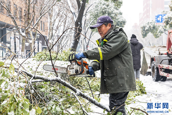 武汉园林人员冒雪清理道路折断的树枝。新华网发 胡冬冬摄