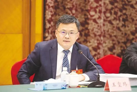 省人大代表，鄂州市委副书记、市长 王玺玮