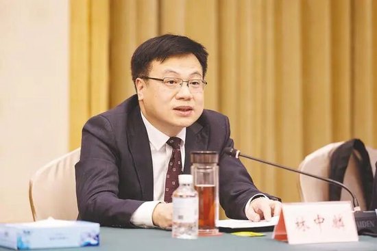 省人大代表，孝感市委副书记、市长 林中麟