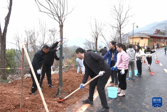 3月11日，大冶铁矿工人在曾经工作过的地方植树造林。新华社发 （陈田浩 摄）