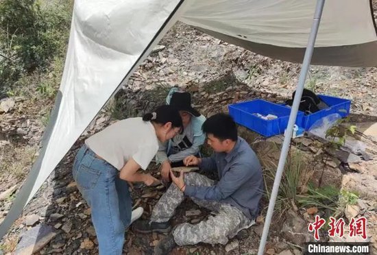 ▲吴奎及其团队成员在远安寻找化石　湖北省地质局吴奎研究团队 供图