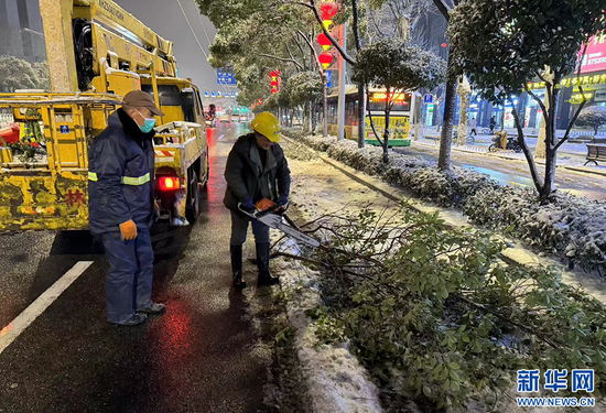 武汉园林工人连夜清理道路折断的树枝。新华网发（武汉市园林和林业局供图）