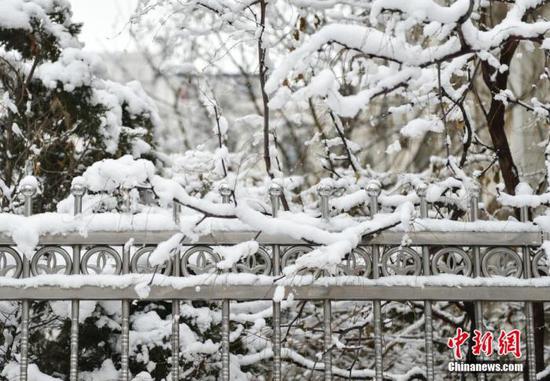 资料图：1月5日晚，北京2020年第一场雪如期“到货”，全市普降中到大雪。 中新网记者 翟璐 摄