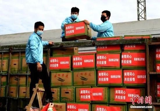 资料图：2月17日，600吨蔬菜类产品在福州东站装车，准备运往湖北。中新社记者 王东明 摄