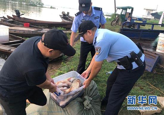荆州公安机关查获的非法渔获物。新华网发