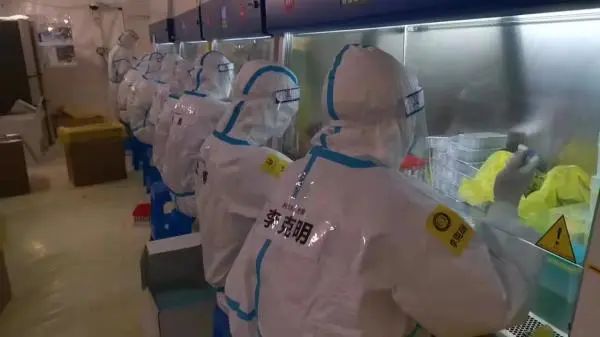 图为湖北援沪核酸检测医疗队员在实验室工作。