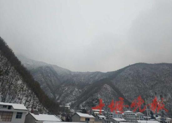 隔着屏幕能感受到丝丝寒意但雪真的太美了有木有。神农架下雪了!