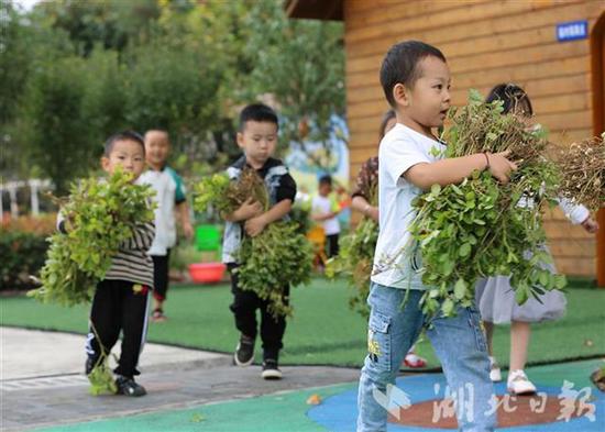 湖北|现实版开心农场！湖北竹山一幼儿园设开心农场十年