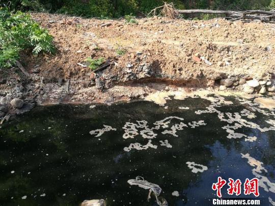 廠區(qū)負(fù)責(zé)人在廠區(qū)旁挖坑排污 陳婭君 攝