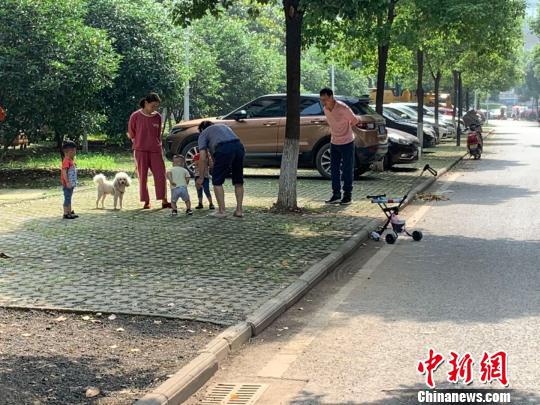 图为武汉社区居民正在遛狗　武一力　摄