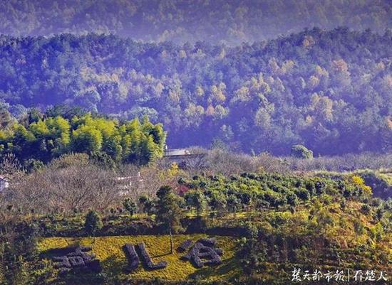 湖北|全国第二批乡村旅游重点村授牌 湖北数量全国第一